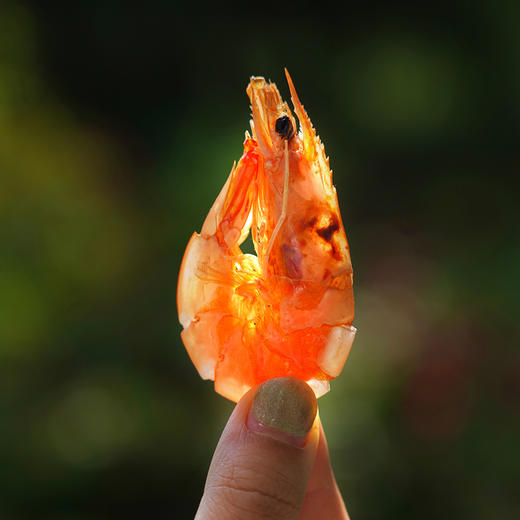 俏虾客有机烤虾 300g(净重) /盒*3 商品图1