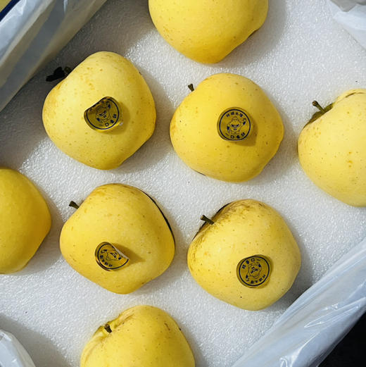 雀斑维纳斯苹果 礼盒一箱8-9个 带苹果香味 酥脆多汁 商品图6