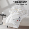 【气凝朵蓄热被芯】秋冬保暖被芯仿生绒被芯加厚双人被子酒店民宿冬被 商品缩略图2