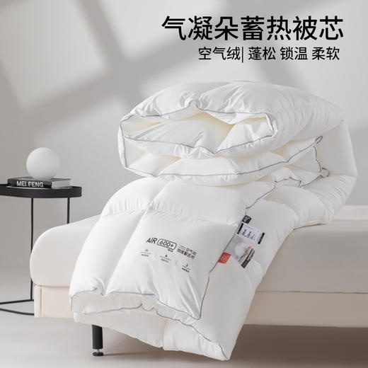 【气凝朵蓄热被芯】秋冬保暖被芯仿生绒被芯加厚双人被子酒店民宿冬被 商品图2