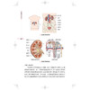 肾脏病100问 肾脏病一体化管理科普丛书 汤晓静 接艳青 孙丽君 主编 可供肾脏病患者及其家属阅读并参考 上海科学技术出版社 商品缩略图4
