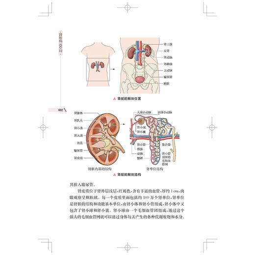 肾脏病100问 肾脏病一体化管理科普丛书 汤晓静 接艳青 孙丽君 主编 可供肾脏病患者及其家属阅读并参考 上海科学技术出版社 商品图4
