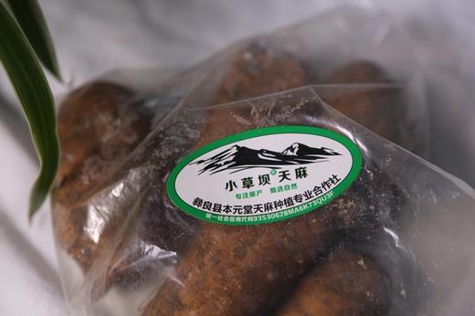 【 中国地理标志产品】【有机新鲜冬天麻】 云南昭通小草坝乌天麻  约1000克 8-10个左右 商品图5