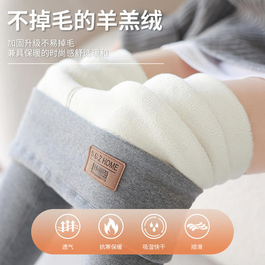 雀说长加绒加厚打底裤女秋冬外穿高腰羊羔绒大码特厚保暖纯棉裤ALK1069 商品图0