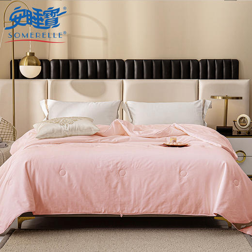 【春上新】10楼 安睡宝 全棉提花纯蚕丝双人春秋被 吊牌价3299元 活动价799元 商品图0