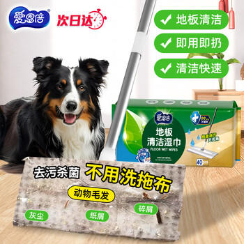 爱恩倍地板湿纸巾加大加厚家庭清洁拖地抹布静电除尘扫灰工具儿童房可用 商品图2