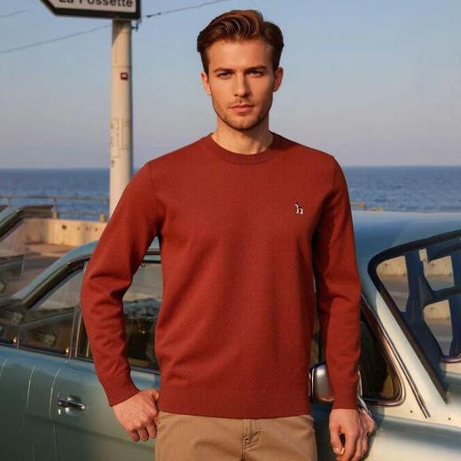 秋冬男士圆领毛衣休闲保暖纯色男士通勤单穿内搭上衣   XLM-CL9629120* 商品图0