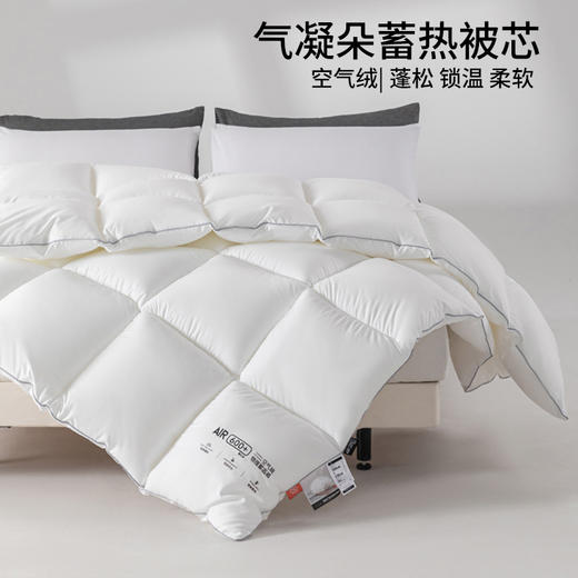 【气凝朵蓄热被芯】秋冬保暖被芯仿生绒被芯加厚双人被子酒店民宿冬被 商品图3