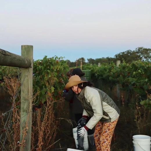 【霞多丽 1847起泡葡萄酒 】ULUPNA澳露普纳   澳洲原装进口 13.5%vol 750ml 干型高泡 商品图6