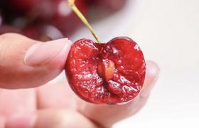  2025/26智利产季首批车厘子空运抵华，车厘子盛宴正式开启！