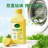 【涤戈 洗衣机除菌清洁液】一键清洁 排出多年污垢 除菌+去味+清洁+除垢+养护+清新 6合1温和配方不伤机 一瓶多用 不用热水无需浸泡 250ml/瓶 商品缩略图3