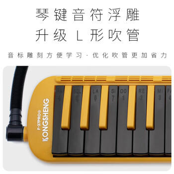 孔声（KONGSHENG）口风琴学生儿童课堂教学成人37键专业专用演奏级乐器 F-37PRO黑色 商品图1