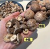 云南有机干香菇2025新菇，云南桑木有机香菇 桑木精华滋养 菇肉厚嫩 朵型完好 炒炖皆美味基地直邮 商品缩略图0