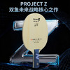 Doublefish双鱼周启豪国手同款乒乓球底板ProjectZ绿芳碳素纤维底板 商品缩略图1