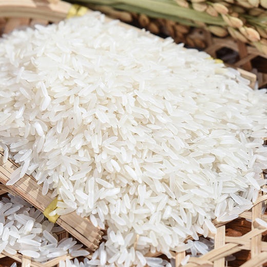 靓当家太粮虾仔米15kg 商品图3