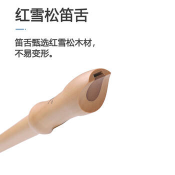 奇美8孔木笛高音英式八孔木质竖笛 课堂乐器 树脂盒包装 带教材 商品图4