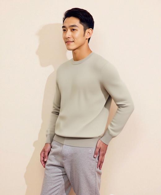 佐丹奴男装25年商场同款圆领舒适毛衣01055602 商品图0
