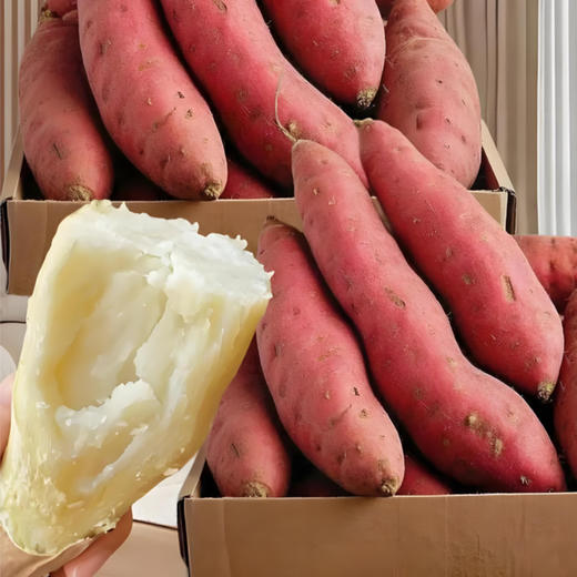 有机番薯，多品种可选，颠覆认知的糯沙香甜，安心美味（大小混装5斤装，顺丰包邮，72小时发货急件慎拍) 商品图10