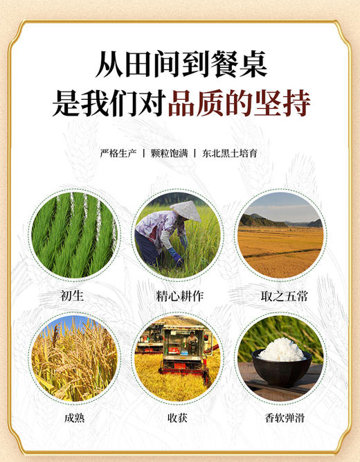 【粒农天禧 正宗五常大米】GB/T19266，符合标准！！优质一等五常大米，口感软糯香甜，颗粒饱满，米味清香！ 商品图2