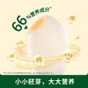 碧欧齐有机圆粒香胚芽米300g 商品缩略图1
