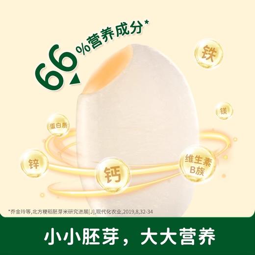碧欧齐有机圆粒香胚芽米300g 商品图1