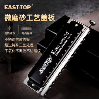 东方鼎（EAST TOP）半音阶口琴12孔48音初学金色梦想者T12-48K 商品图2
