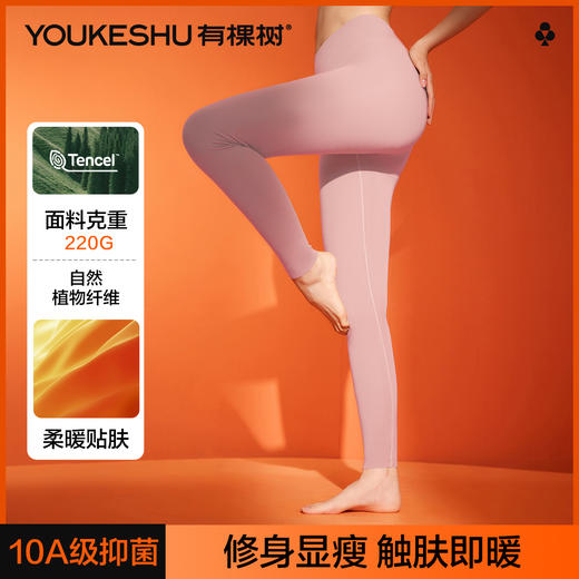 【50S发热丝】【10A抑菌】【M-2XL】【有棵树】女士莫代尔秋裤保暖裤 商品图0