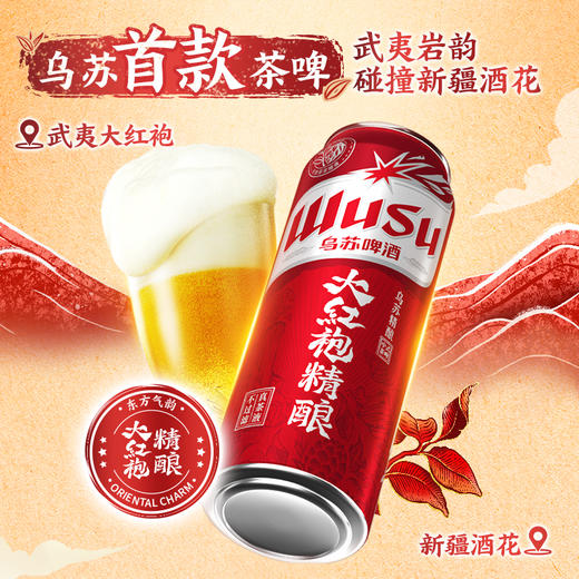 乌苏啤酒 大红袍精酿500ml*12罐 商品图1