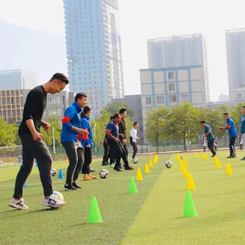 爸爸妈妈套圈玩具套圈环感统训练玩具游戏道具儿童户外玩具体能运动器材 商品图6