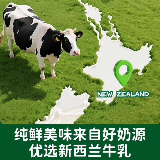 碧欧奇婴幼儿小小馒头80g 商品图2