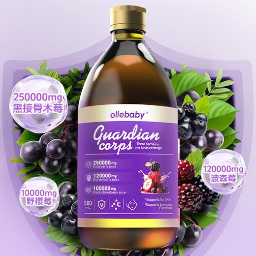 【全球购】澳立佳接骨木莓液饮500ml/瓶 商品图4