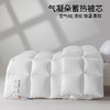 【气凝朵蓄热被芯】秋冬保暖被芯仿生绒被芯加厚双人被子酒店民宿冬被 商品缩略图0