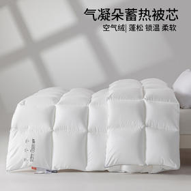 【气凝朵蓄热被芯】秋冬保暖被芯仿生绒被芯加厚双人被子酒店民宿冬被