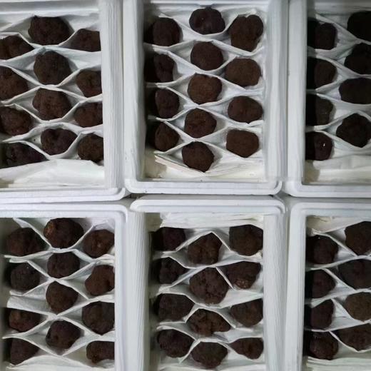 大凉山高海拔野生黑松露！每一颗都是自然馈赠的 “地下黑金” 商品图4