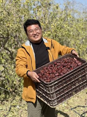 【有机认证灰枣 骏枣】树上多挂35天自然吊干成熟 皮薄肉厚 核小 红枣500g/袋