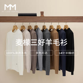 【男装】麦檬春秋套头毛衫9G8930351