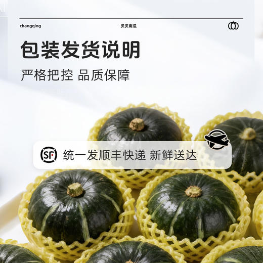 【顺丰发货】长轻 贝贝南瓜 4-4.5斤/箱（4-8个果） 当季新瓜现摘现发坏果包赔 商品图3