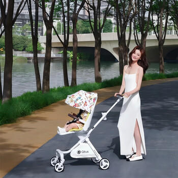 昆塔斯（Qtus）Q10 Jay飞鸟360度双向高景观婴儿推车轻便折叠0-3岁长春花蓝 商品图4