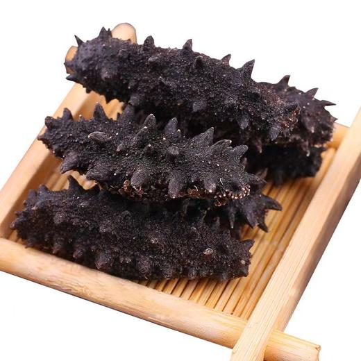 大连壮元海 速发干海参 商品图1