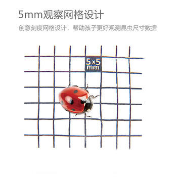 Hape(德国)户外玩具自然探索昆虫观察罐放大测量透气元旦礼物E5577 商品图7