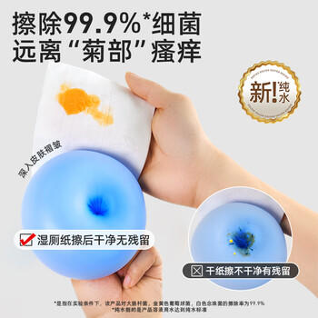 德佑纯水湿厕纸80抽*4包擦屁屁清洁湿纸巾0敏婴童适用无刺激可冲马桶 商品图1