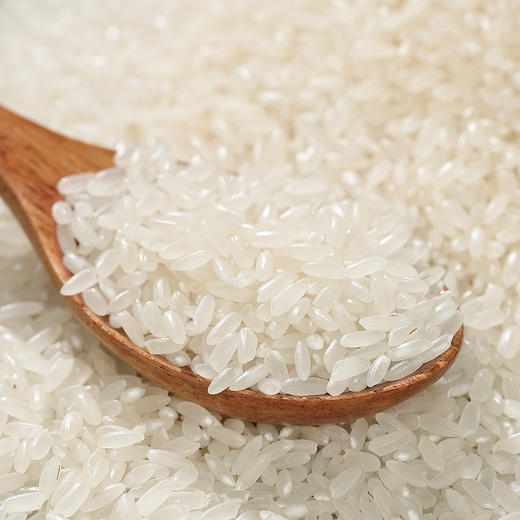 稻之金五常大米5KG 商品图7