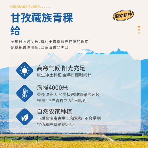 糌粑脆片 商品图1