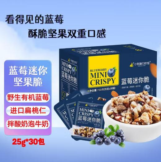 小刺猬的烦恼 山姆同款蓝莓迷你脆 坚果礼盒炒货干果儿童孕妇送长辈零食 250g/750g 商品图1