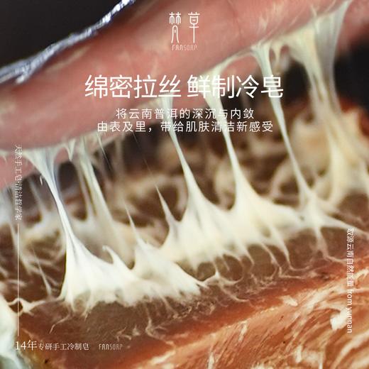 【普洱茶粉皂】深层清洁肌肤 商品图0