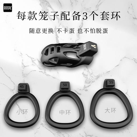 困龙 贞操锁cb锁 商品图3