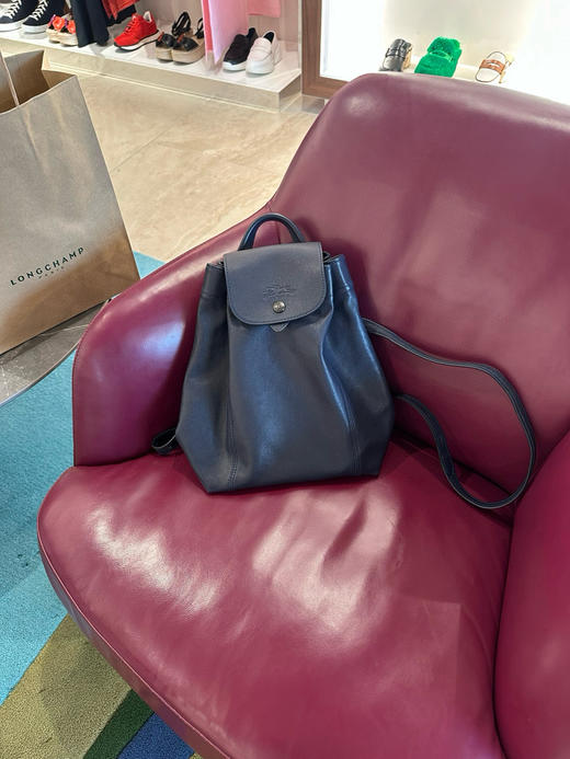 国现Longchamp龙骧大号双肩包22x28cm羊皮1690元 商品图0