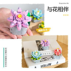 费米（Femibox）兼容乐高儿童拼装积木玩具花摆件生日礼物多肉-观音莲S2318