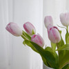 海盛郁金香-浅粉色（马卡龙）-10枝/扎 商品缩略图0