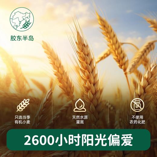 碧欧齐有机婴幼儿面条类 商品图2